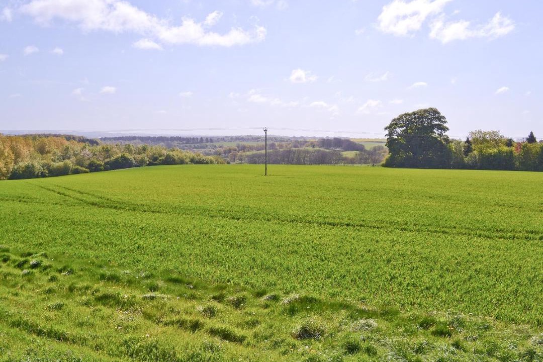 Photo of Others in Horncastle