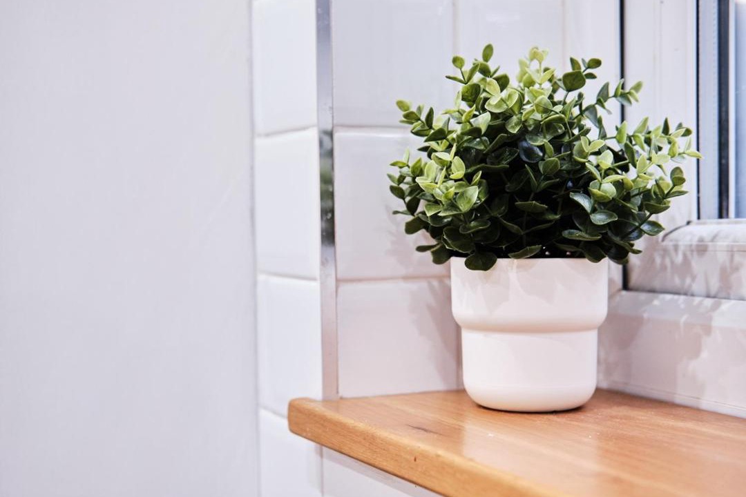 Photo of Others in Sutton Coldfield