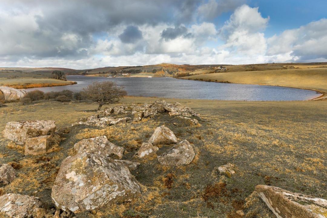 Photo of Others in Lower Trengale