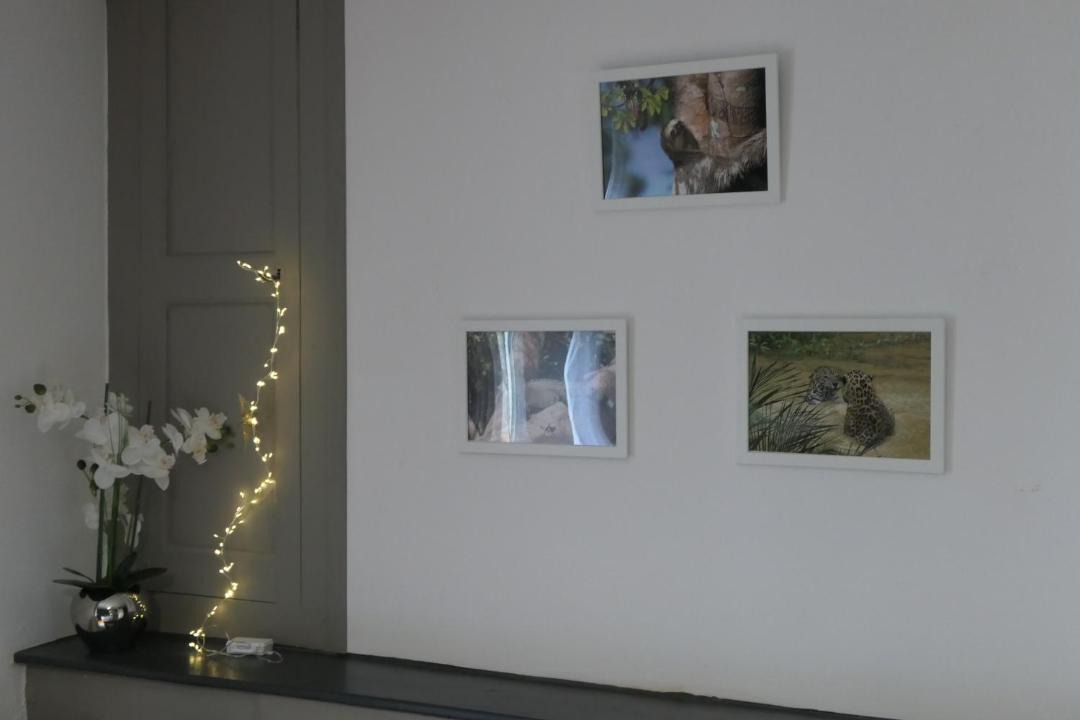 Photo of Others in Arthez-de-Bearn