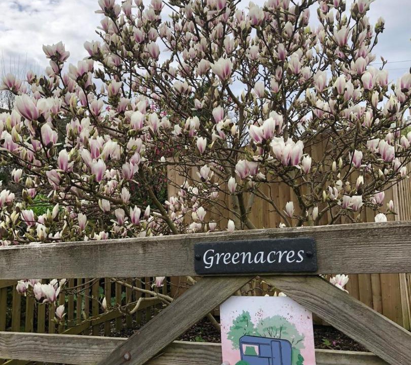 Photo of Outdoor in Heligan