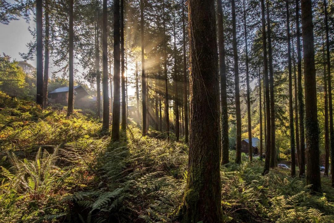 Photo of Others in Herodsfoot