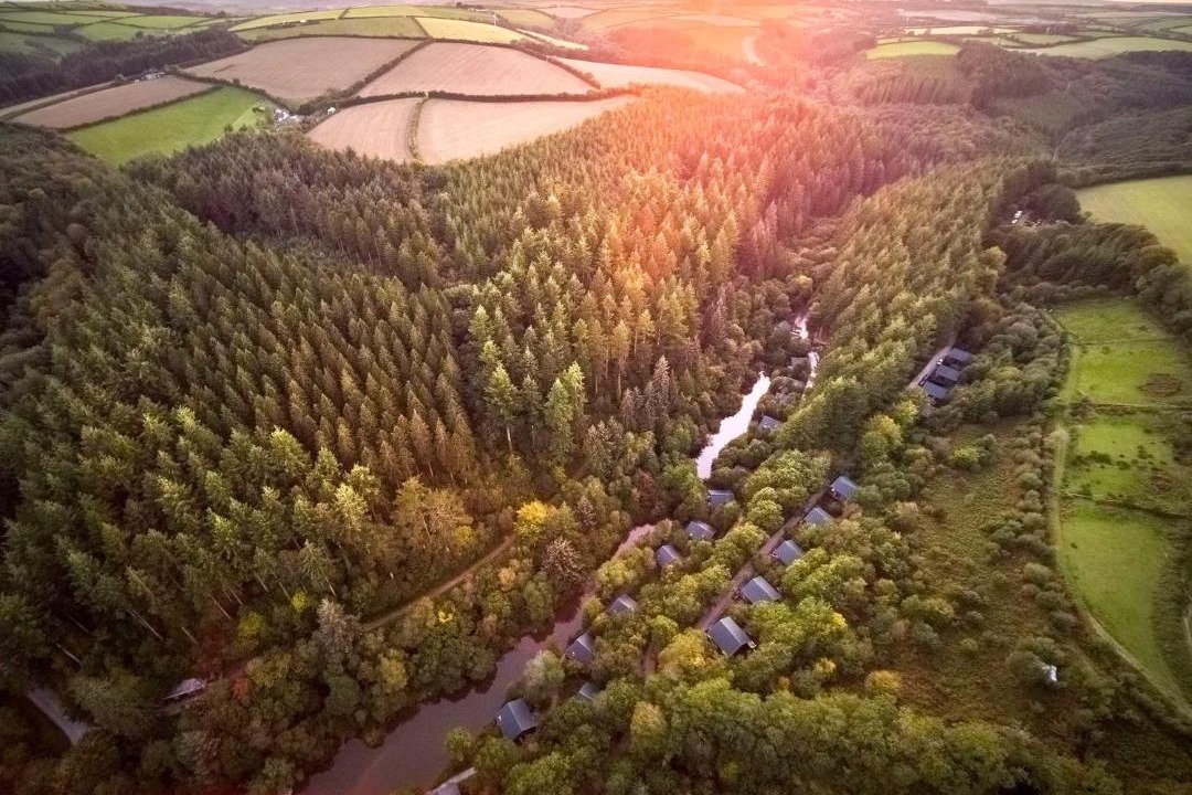 Photo of Others in Herodsfoot