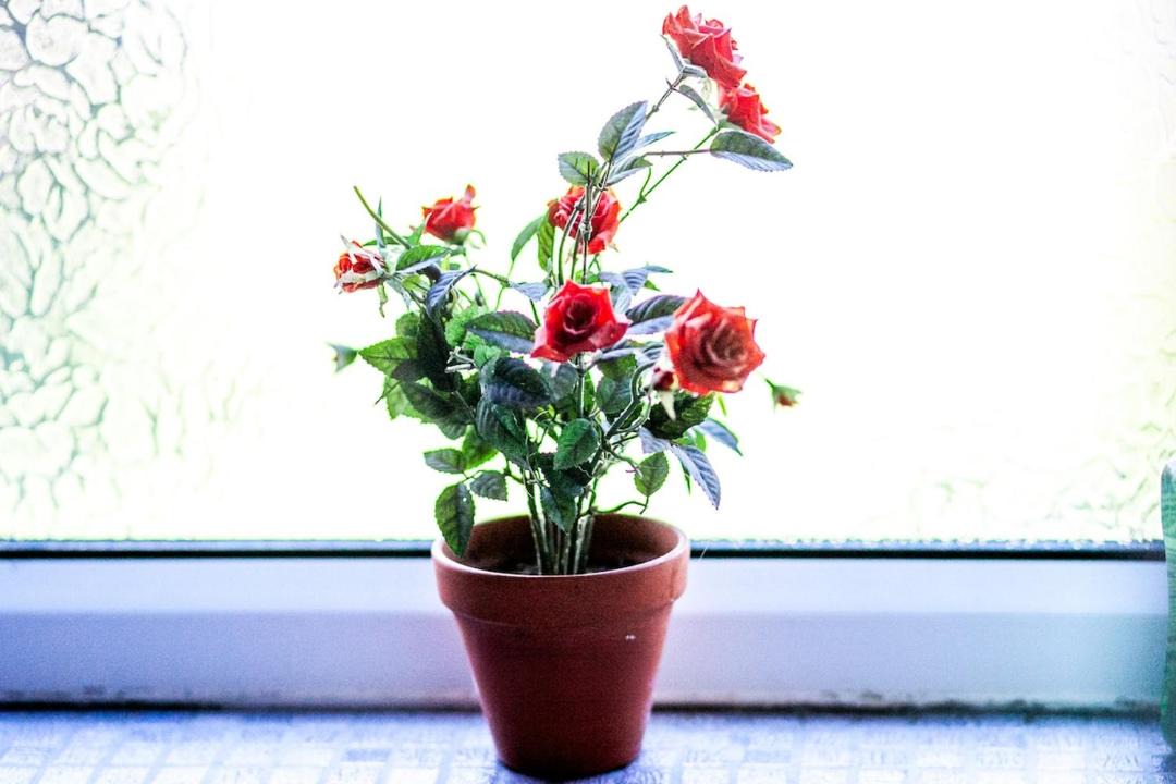 Photo of Others in Seisdon