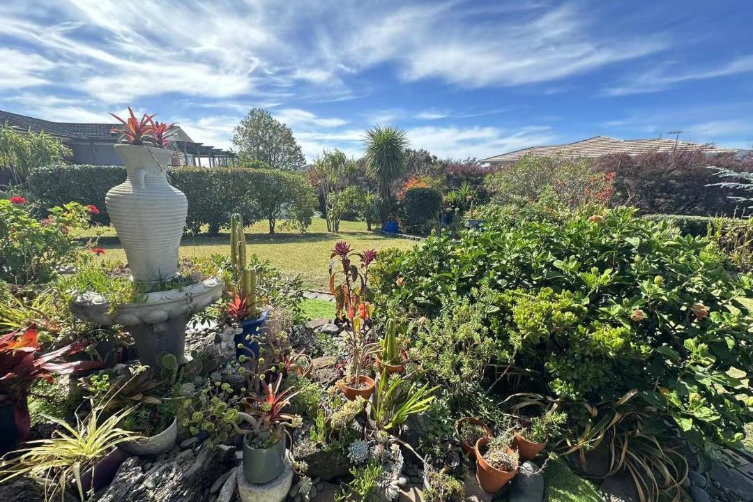 Photo of Others in Sunnyhills