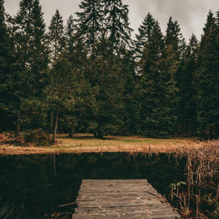 Photo of Others in Sunny Valley