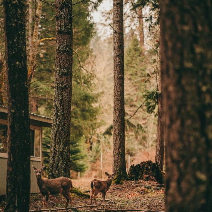 Photo of Others in Sunny Valley