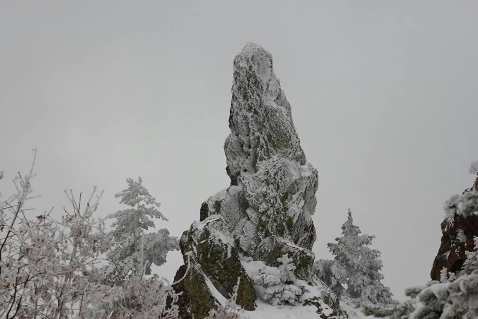 Photo of Others in Bronchales
