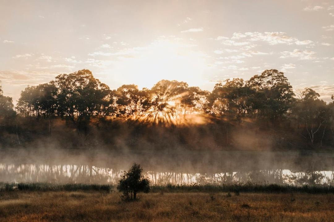 Photo of Others in Rylstone