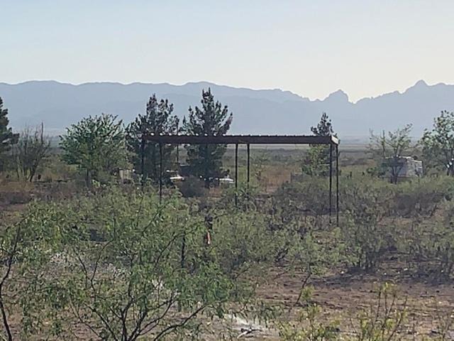 Photo of Others in Pearce