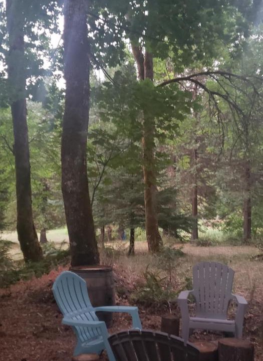 Photo of Others in Sunny Valley