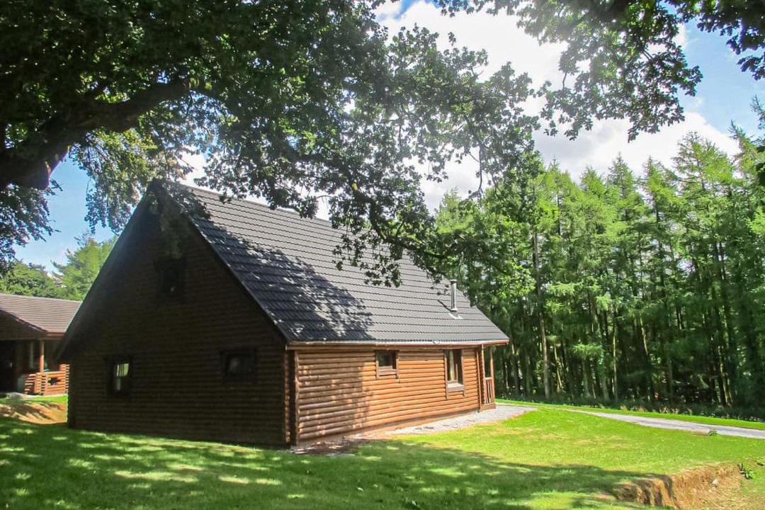 Photo of Others in Pentrefelin