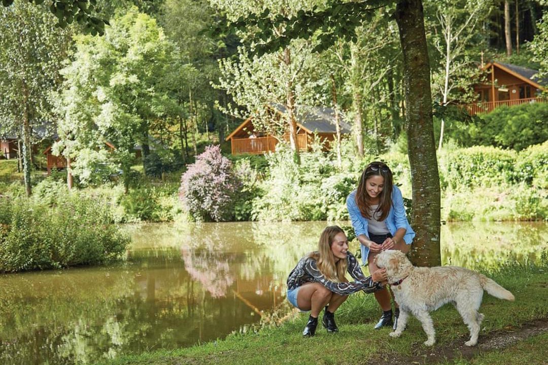 Photo of Others in Westleigh