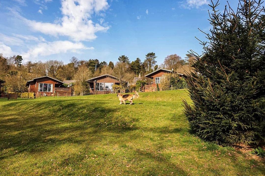 Photo of Others in Horton