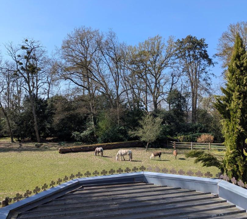 Photo of Others in Amboise