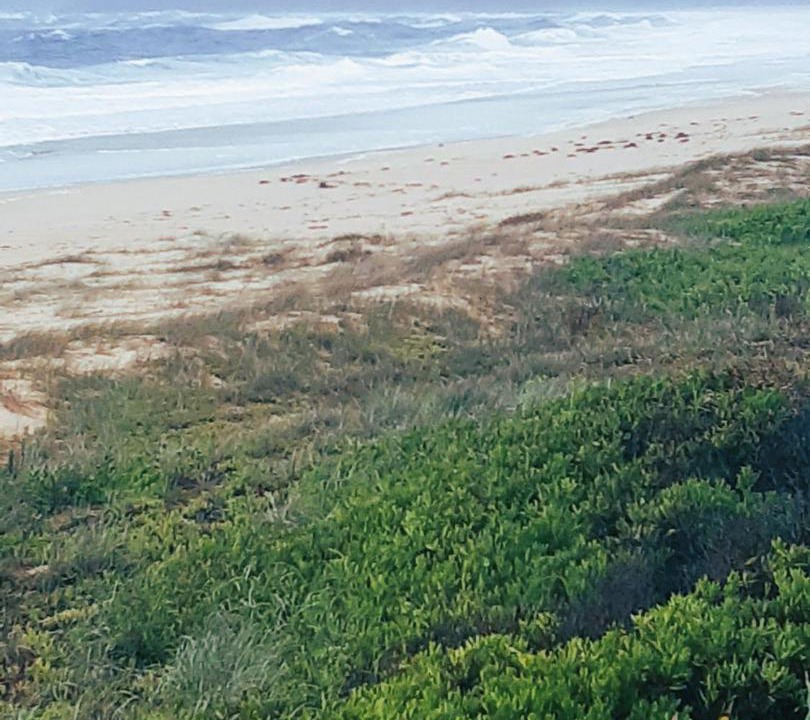 Photo of Others in Diamond Beach