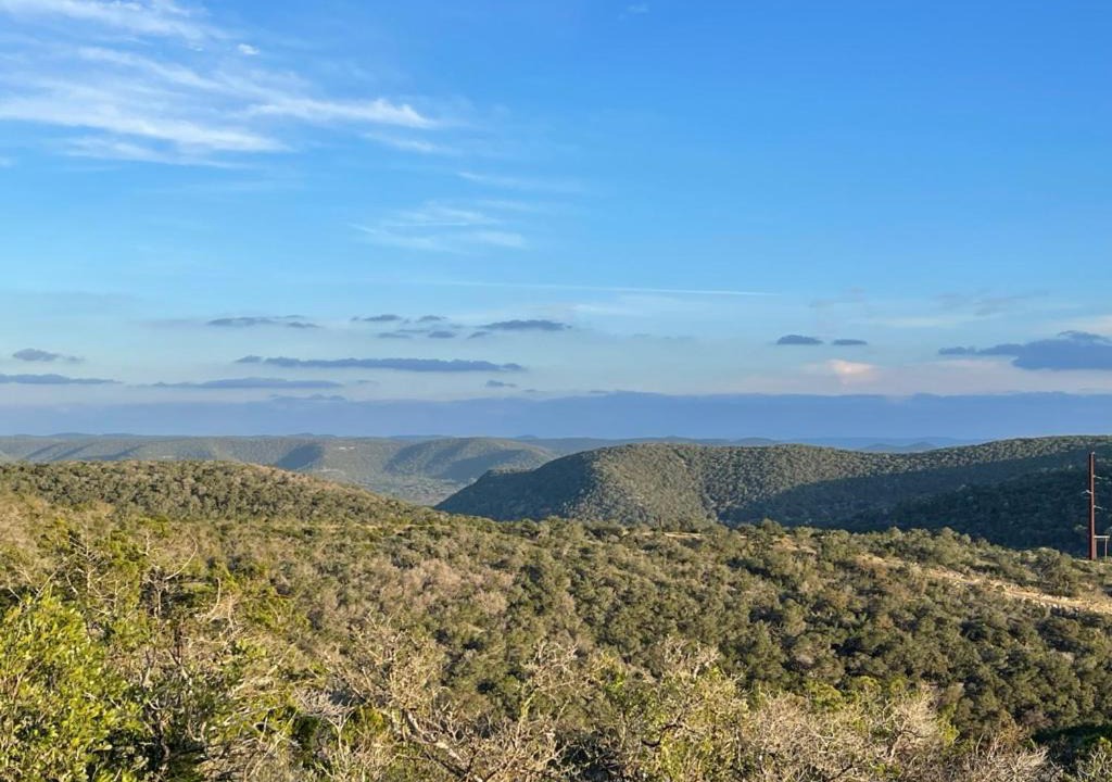 Photo of Others in Leakey