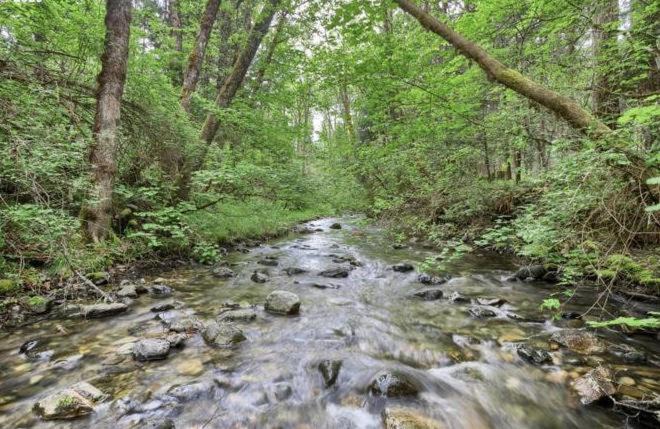 Photo of Others in Douglas County