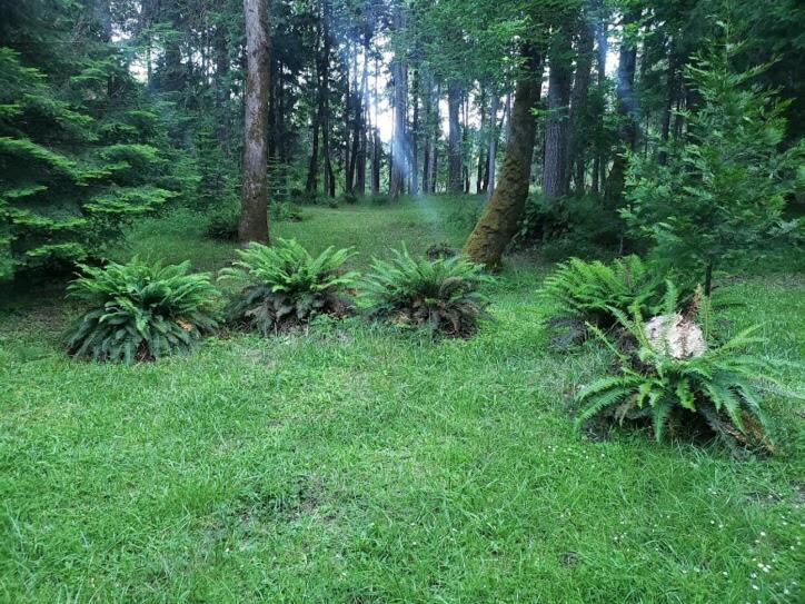 Photo of Outdoor in Douglas County