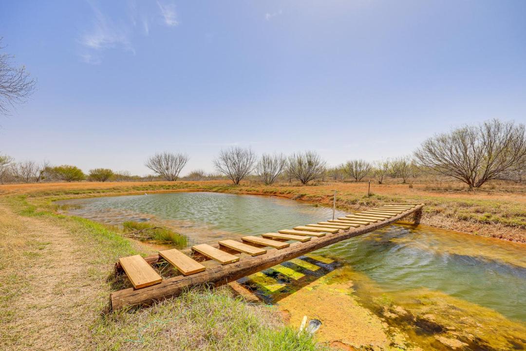 Photo of Others in Cotulla