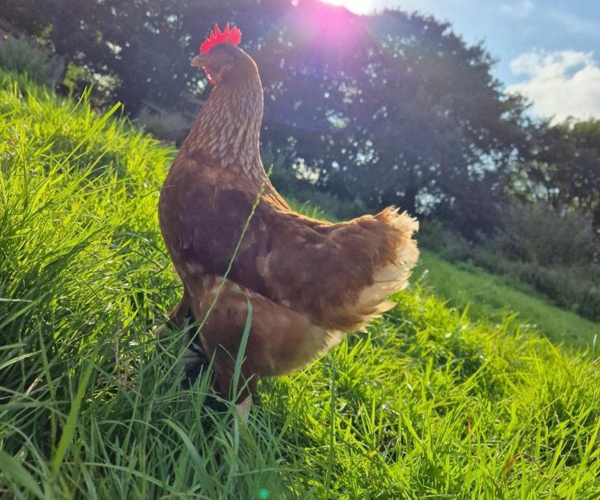 Photo of Others in Totnes