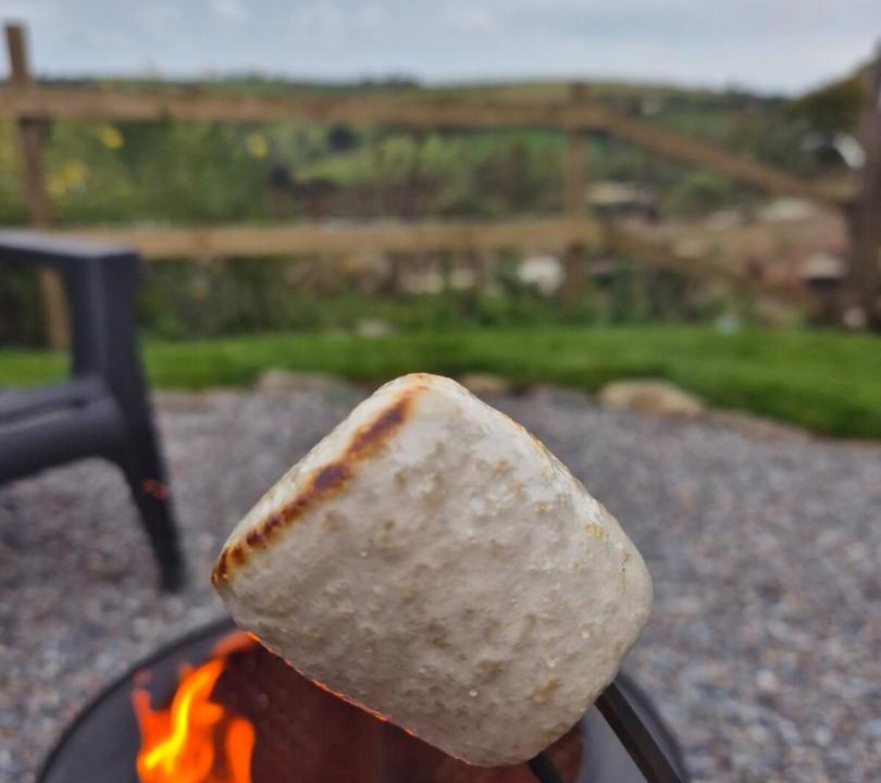 Photo of Others in Totnes