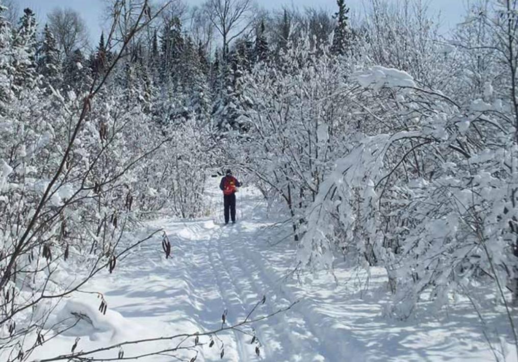 Photo of Others in Huron Shores