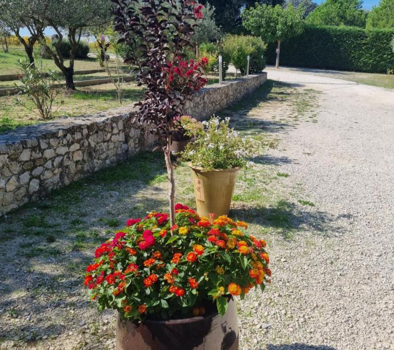 Photo of Outdoor in Montbrison-sur-Lez