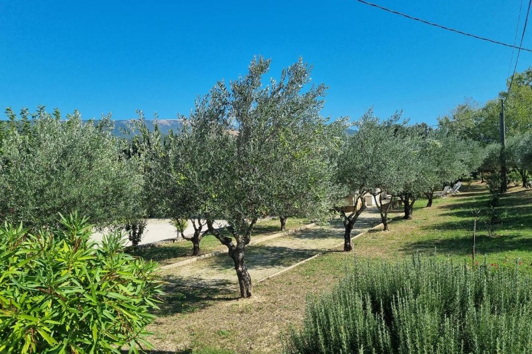 Photo of Outdoor in Montbrison-sur-Lez