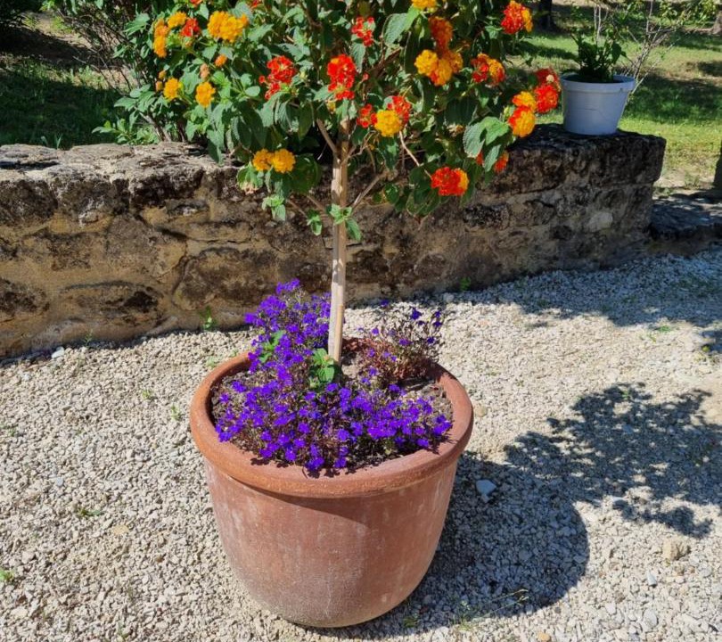 Photo of Others in Montbrison-sur-Lez