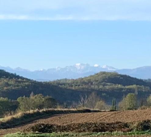 Photo of Others in Mirepoix