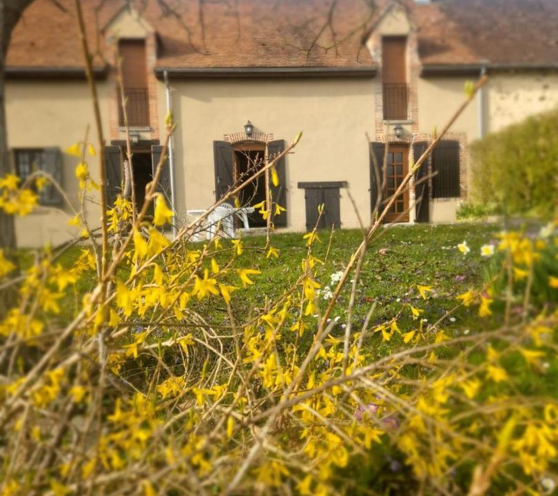 Photo of Others in La Saulsotte