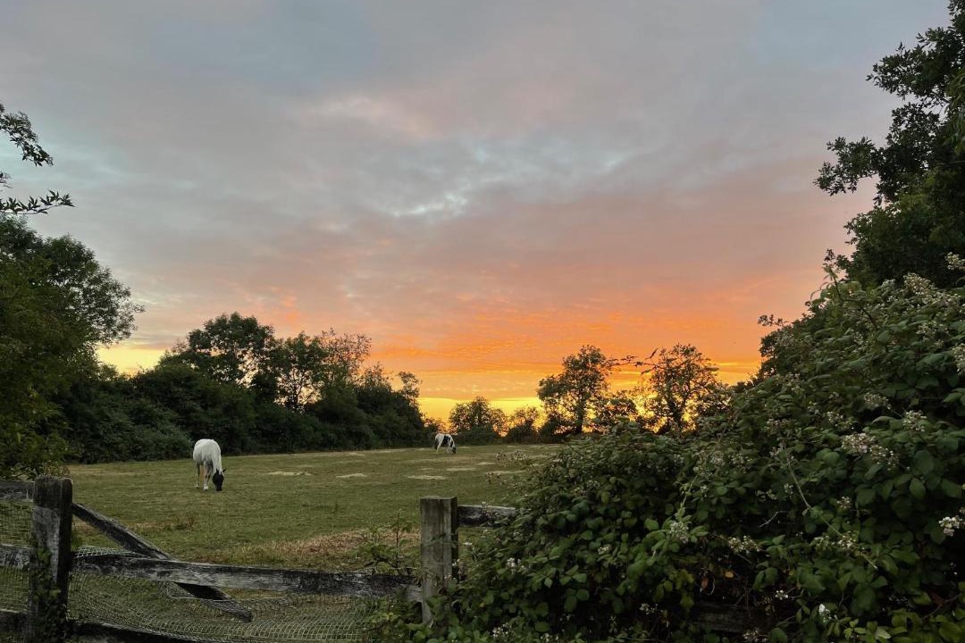 Photo of Others in Corby Glen