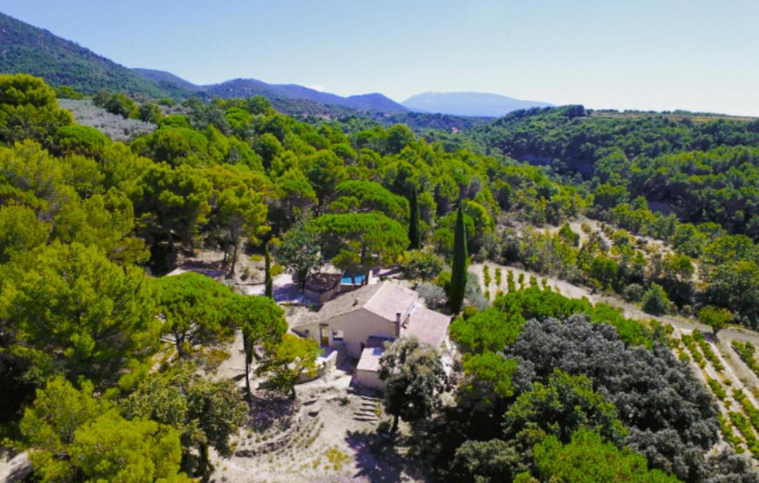 Photo of Others in Piegon