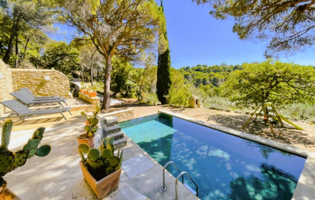 Photo of Others in Piegon