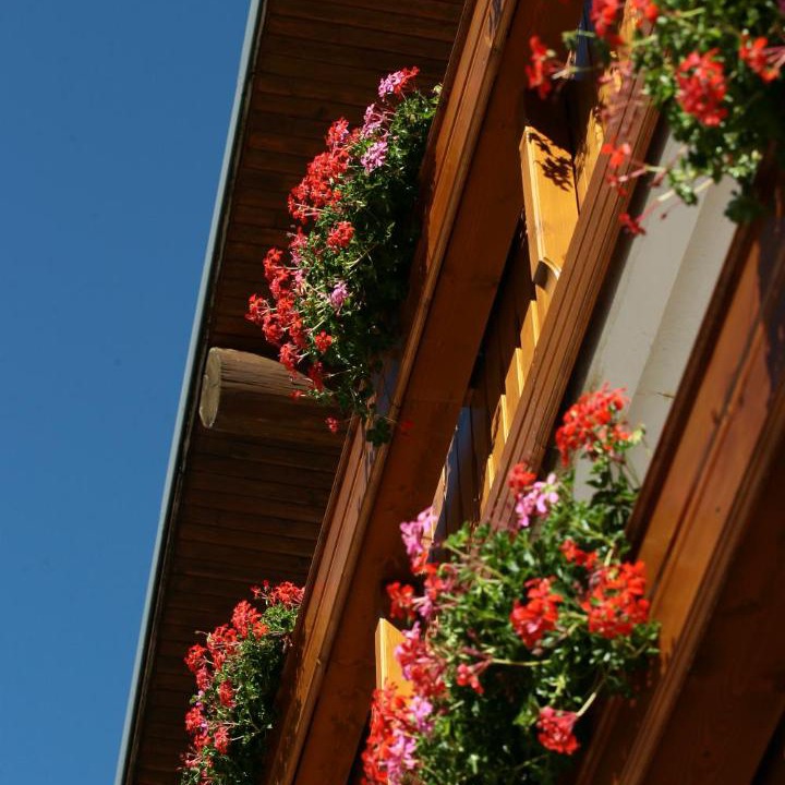 Photo of Others in Villard-de-Lans