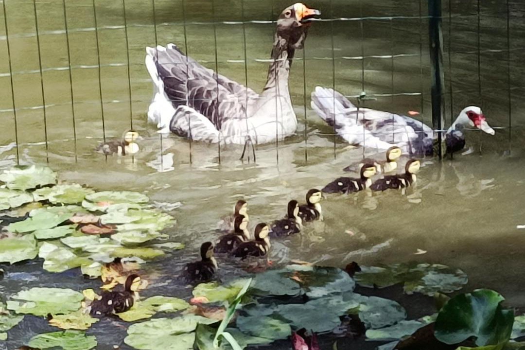 Photo of Others in Habas