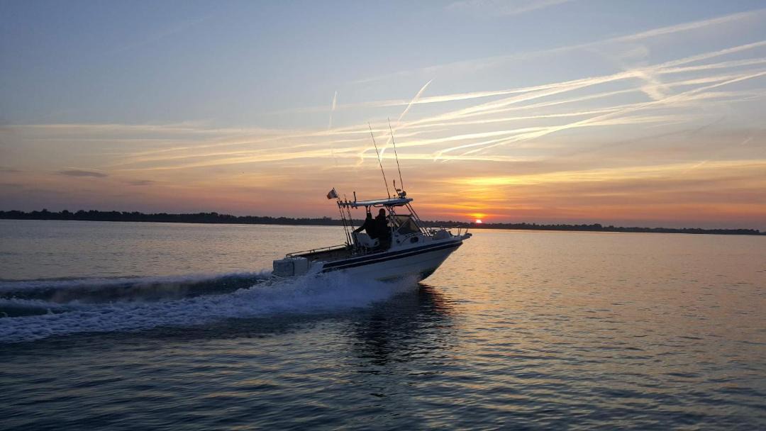 Photo of Others in Port-Saint-Louis-du-Rhone