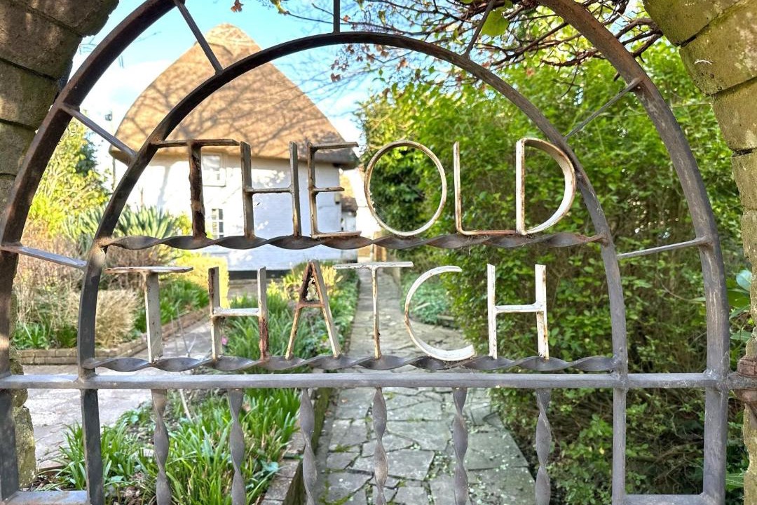 Photo of Others in Chichester