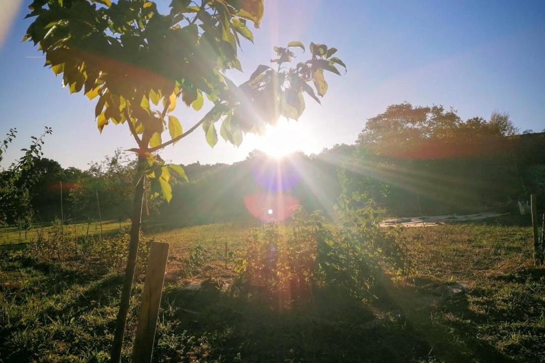 Photo of Others in Vabre-Tizac