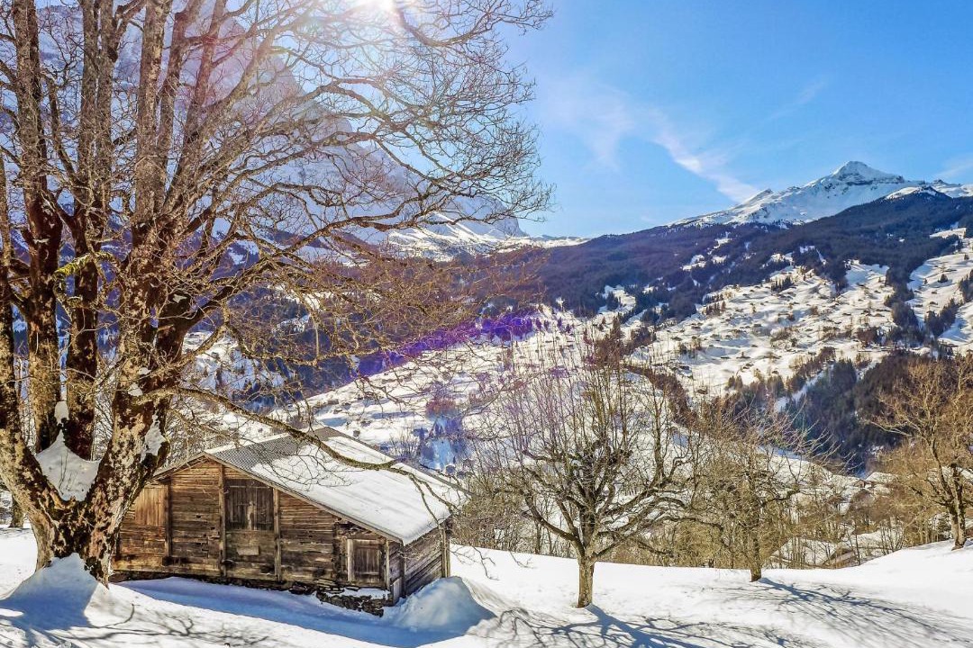 Photo of Others in Grindelwald
