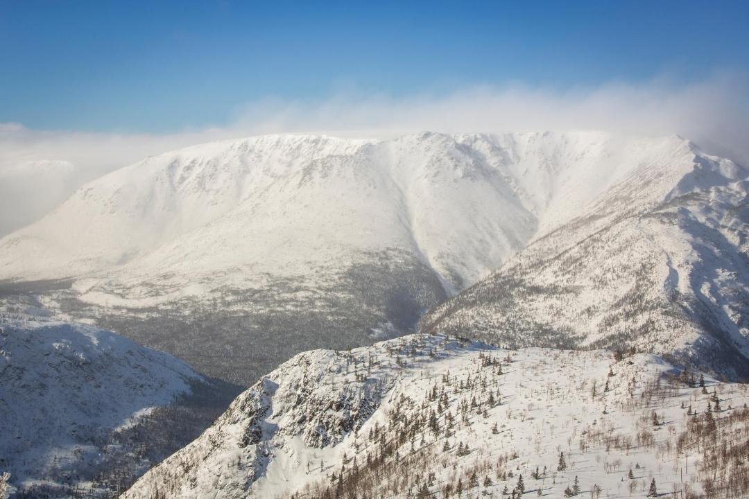 Photo of Others in Mont-Albert