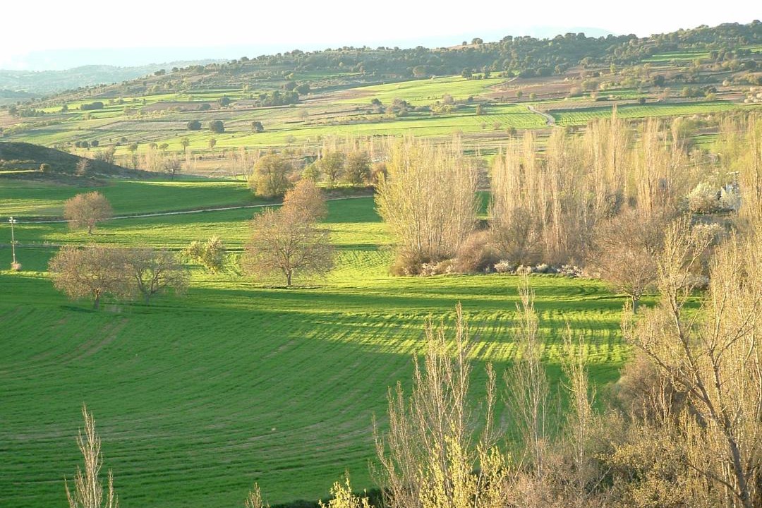 Photo of Others in Ribatajada