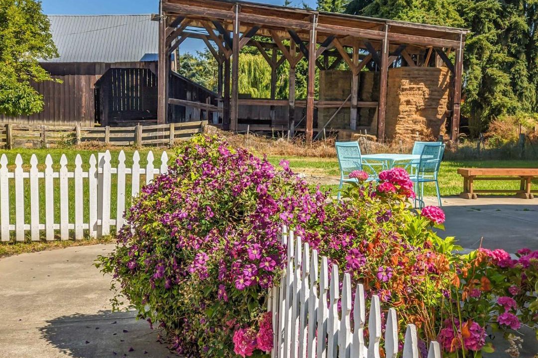 Photo of Others in Sequim