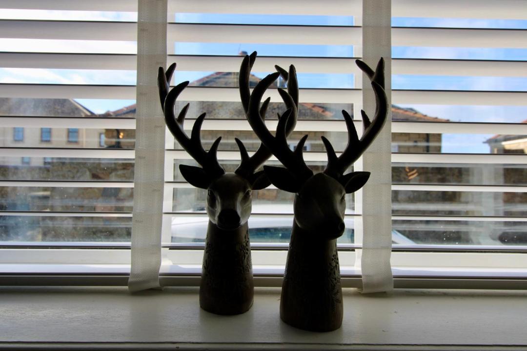 Photo of Others in Prestwick