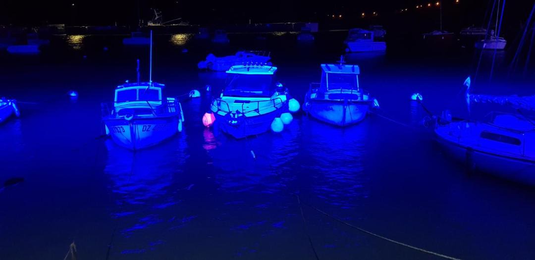 Photo of Others in Treboul