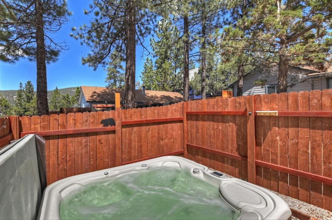 Photo of Others in Big Bear City