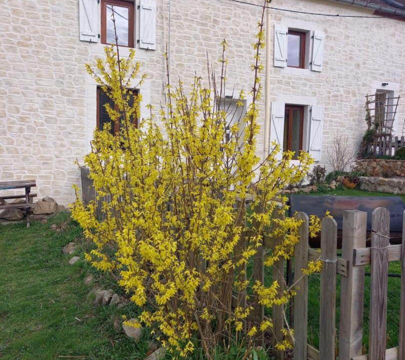 Photo of Outdoor in Sainte-Therence