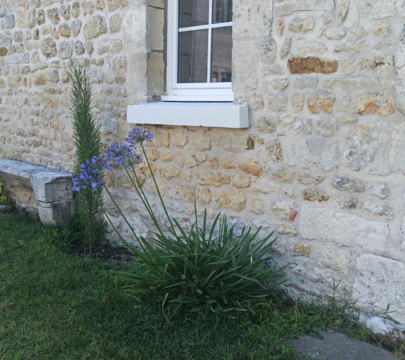 Photo of Others in Saint-Vaize