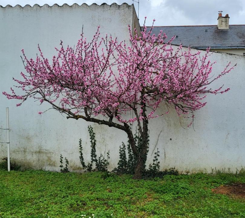 Photo of Others in Doue-la-Fontaine